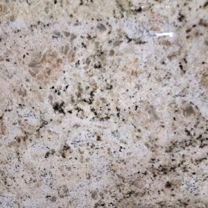 Colonial-Cream.jpg_1